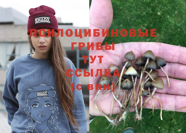 MESCALINE Новокубанск