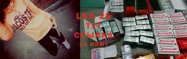 стафф Нягань